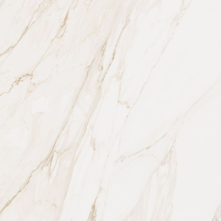 Omnia Calacatta Matte 48 x 48